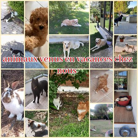 Gite Ma Vie La 3 Etoiles, Jacuzzi, Animaux Acceptes Saint-Julien-de-Cassagnas Bagian luar foto