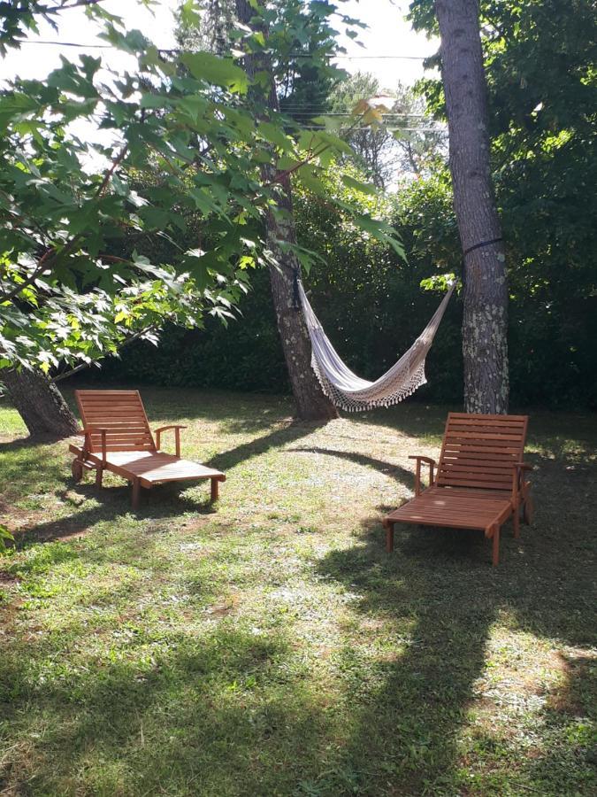 Gite Ma Vie La 3 Etoiles, Jacuzzi, Animaux Acceptes Saint-Julien-de-Cassagnas Bagian luar foto