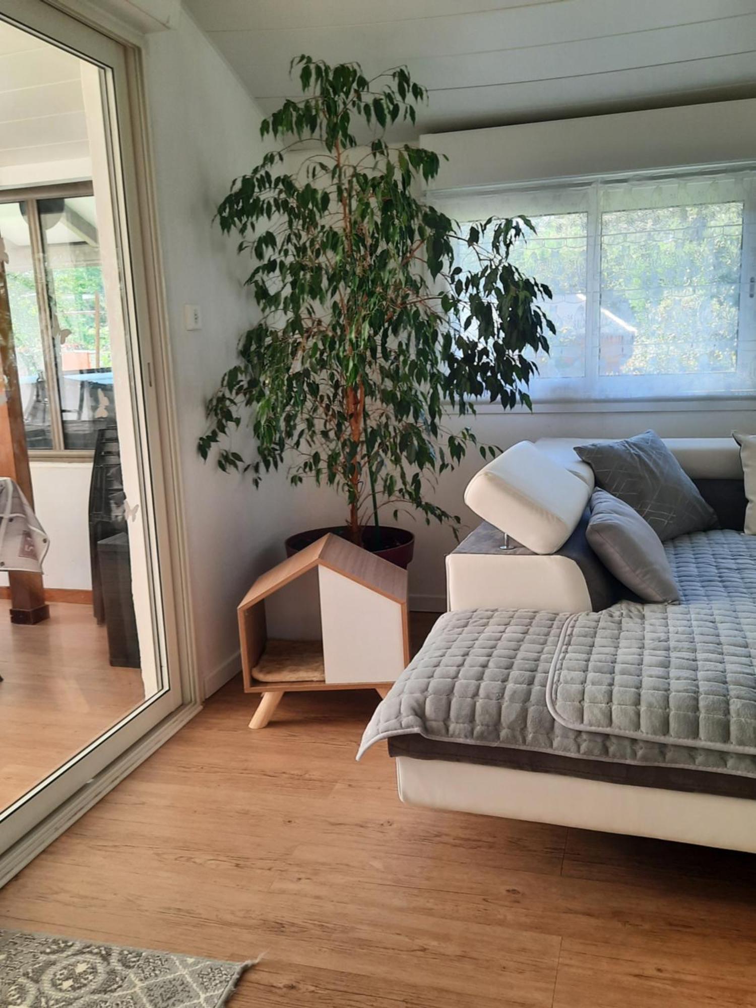 Gite Ma Vie La 3 Etoiles, Jacuzzi, Animaux Acceptes Saint-Julien-de-Cassagnas Bagian luar foto